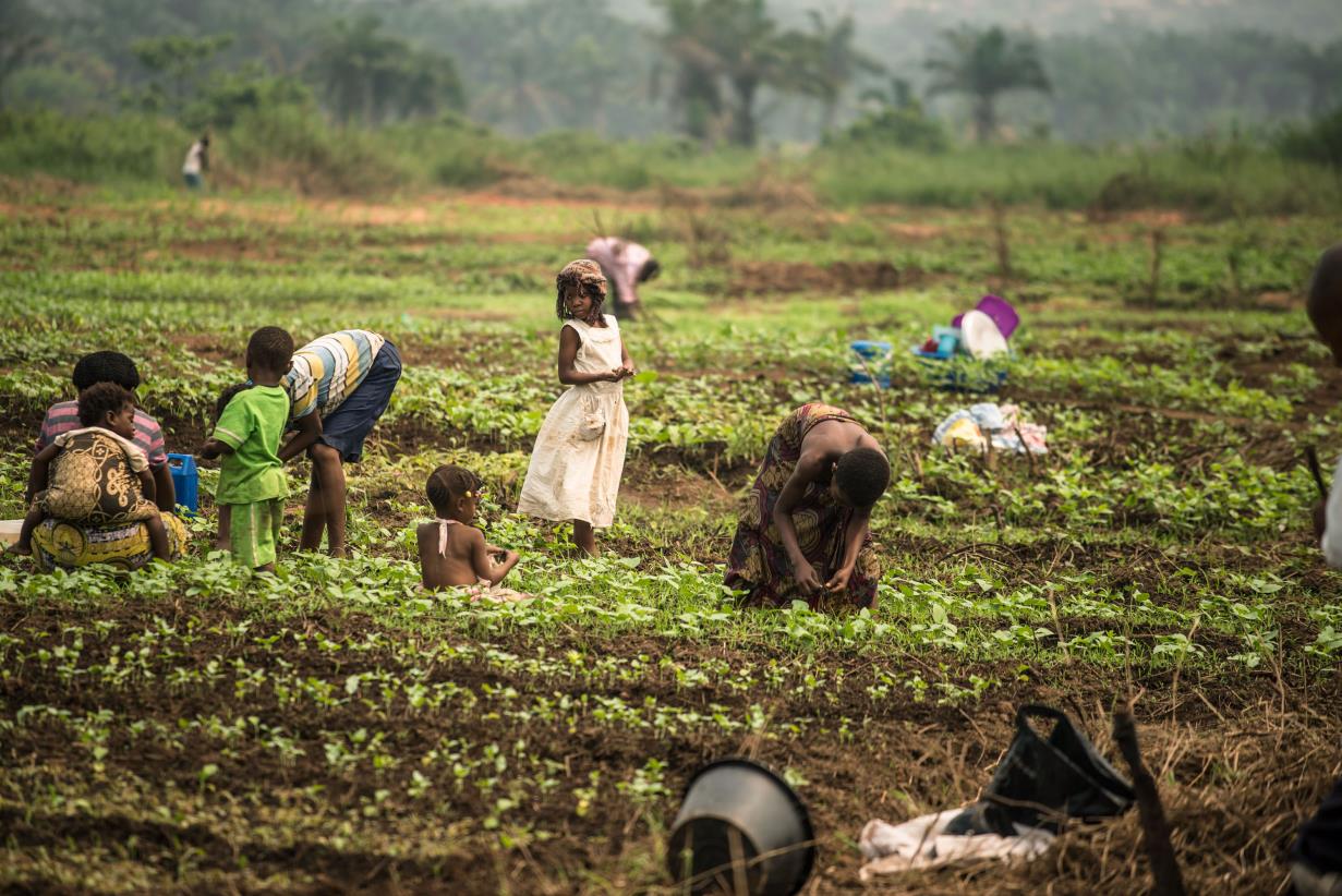 Livelihood and Social Support