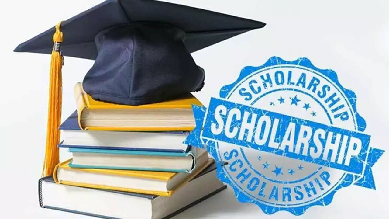 Scholarship Programs